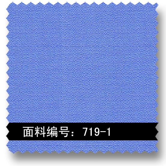 天蓝色迷你格面料 719-1